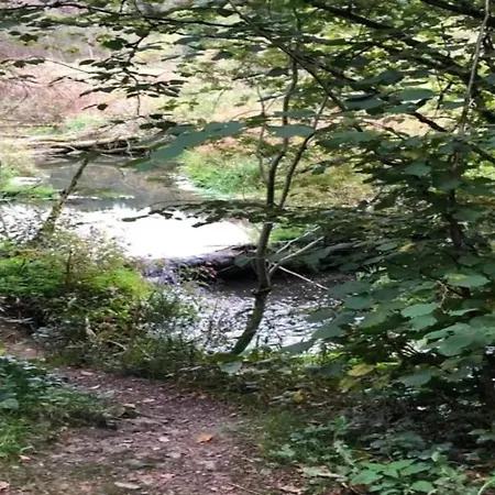 In Der Naehe Der Hessischen Berge, Cleaning Included شقة