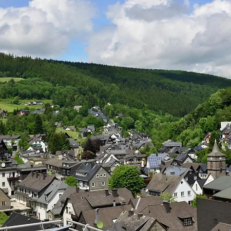 In Der Naehe Der Hessischen Berge, Cleaning Included Daire
